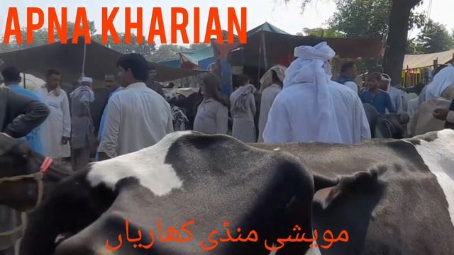 ANIMAL WORLD APNA KHARIAN THIS IS A HUGE PROFITABLE BUSINESS BUT NEED YOUNG AND EXPERTS PEOPLE. смотреть онлайн