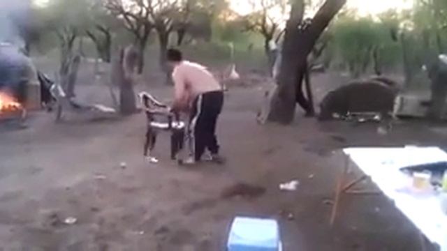 Мамка в обиду не даст, спасла щегла смотреть онлайн