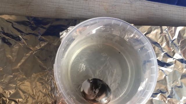 Эксперимент № 5. В домашних условиях. Experiment No. 5. At home. смотреть онлайн