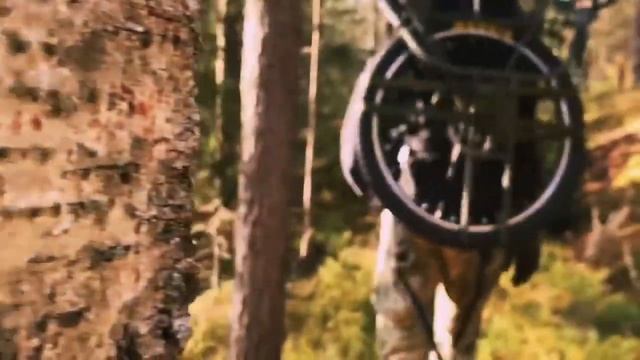 Прогулка с Пиконем смотреть онлайн