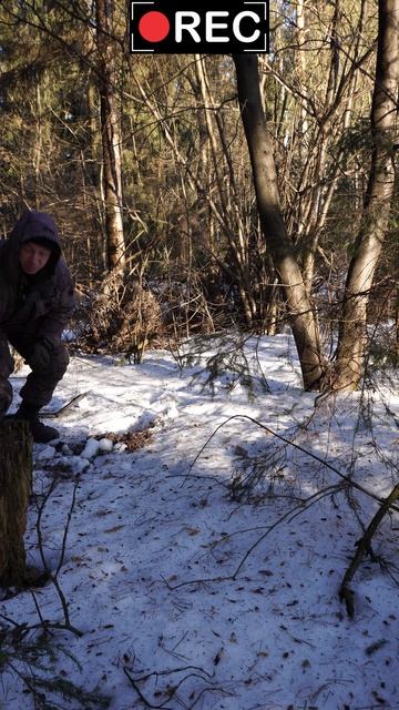 КОПАЮ МОНЕТЫ ЗИМОЙ В ЛЕСУ!
#металлоискатель #поискмонет #шурф #кладоискател смотреть онлайн