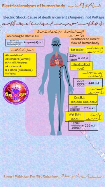 IEEE 80 & Human body & Electricity, prevention from shock to burn s смотреть онлайн
