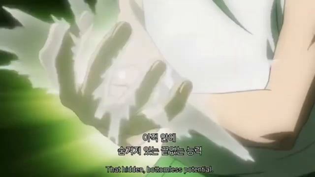Hunter x Hunter Killua Zoldyck,Gon Freecss VS Binolt1 смотреть онлайн