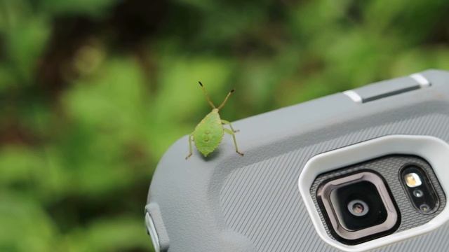 Green bug смотреть онлайн