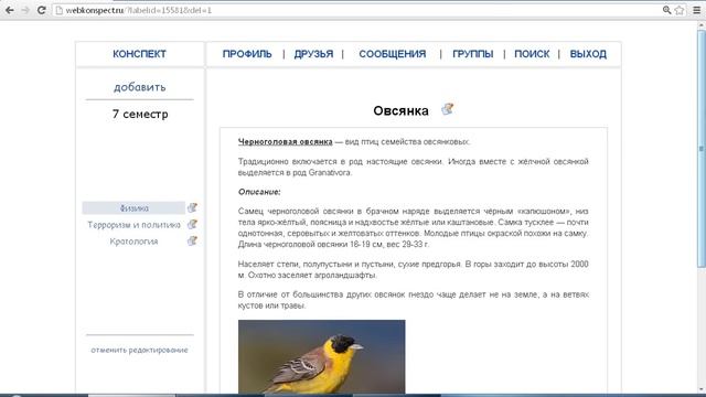 Обзор сайта WEBKONSPECT.RU смотреть онлайн
