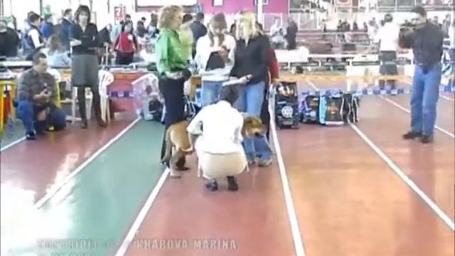 Моно Ка де бо ПК 11.2005, Ветераны/Mono Ca De Bou WC 11.2005, Veterans