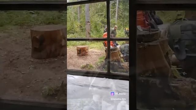 Атмосфера походов. Ночевка в лесу в избе смотреть онлайн