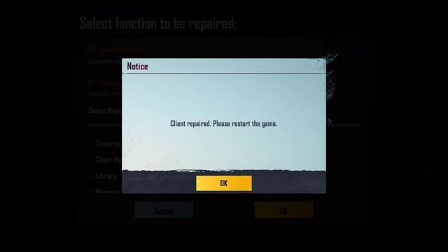0.1Mb map not downloading Glitch in BGMI problem solve in 1 minute | without deleting any file😱 смотреть онлайн