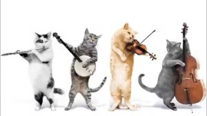 Jingle Cats - Happy Birthday To You