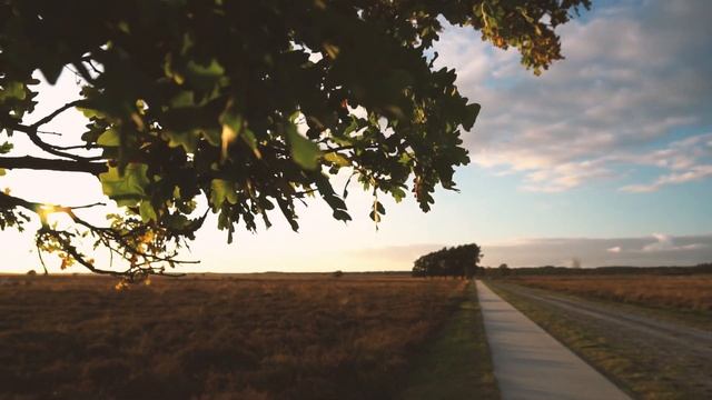 Relaxing Indian Sitar 🌹 Music For Meditation 🌹 Sitar| Tabla | Hang Drum | Positive Energy Beats •