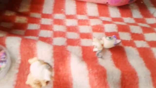 Сериал. Наша история.1 серия смотреть онлайн