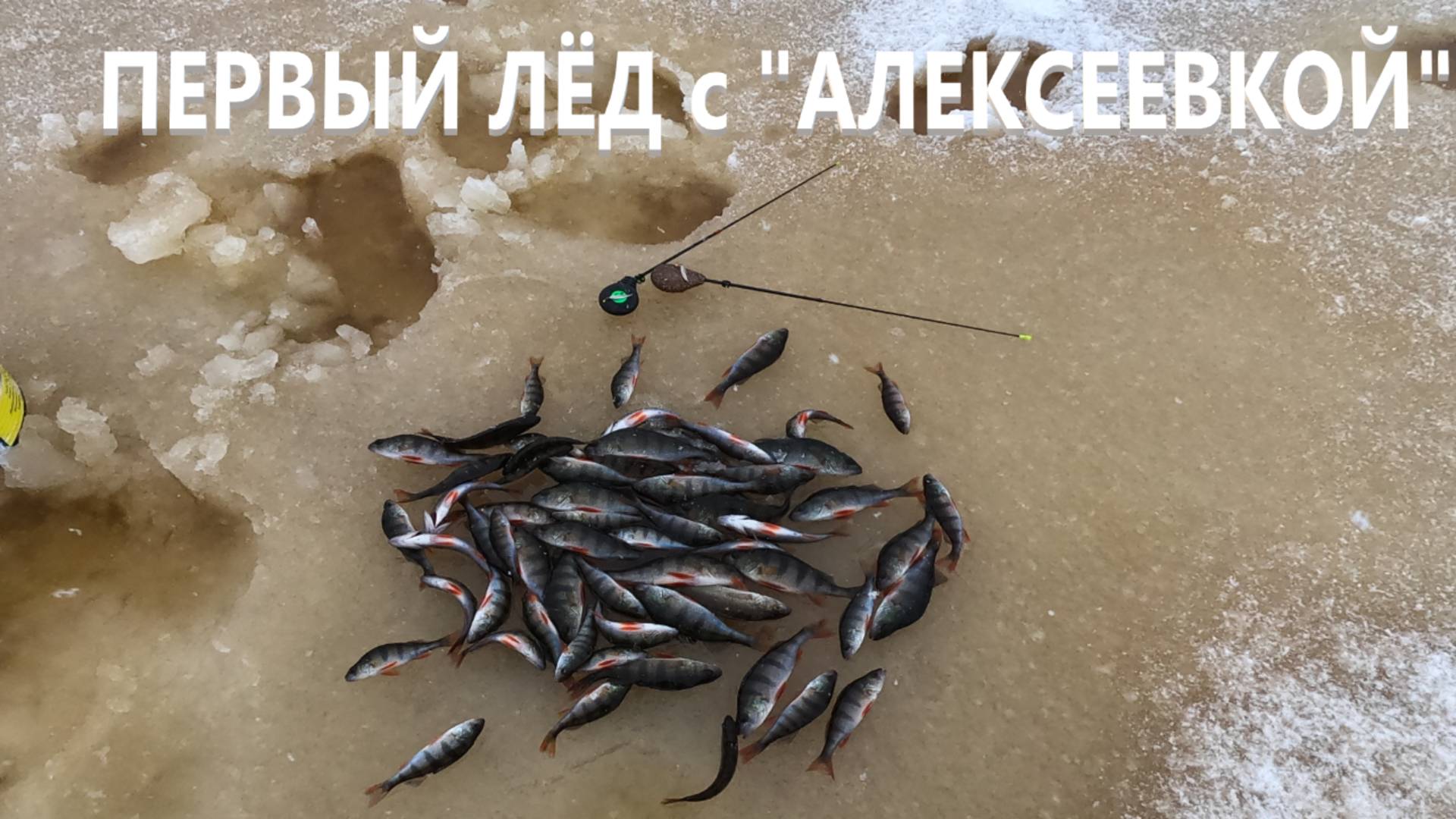 Первый лёд с зимней блесной "Алексеевка 27мм". Ловля окуня на зимнюю блесну. смотреть онлайн
