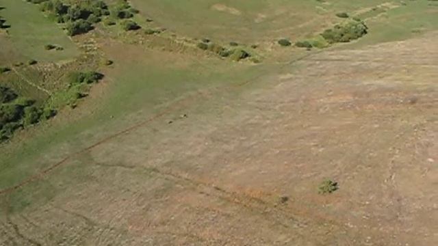 Осенний полет. Продолжение