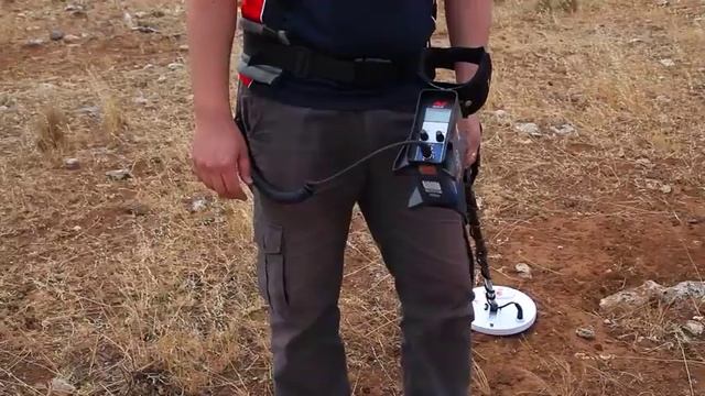 Minelab GPX Metal Detector Series Руководство по смотреть онлайн