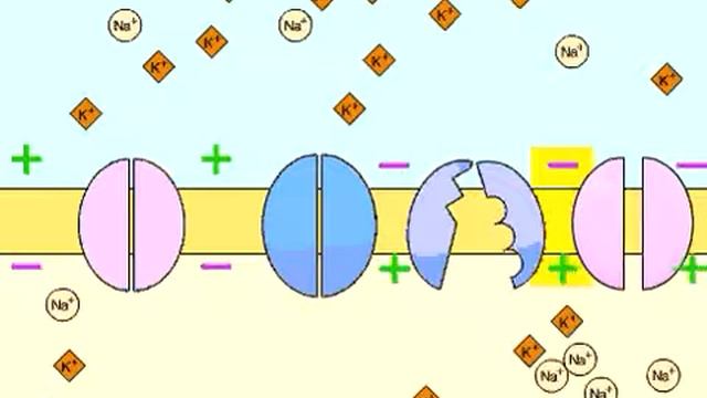 Action potential смотреть онлайн
