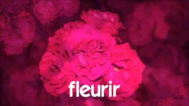 Французский язык для начинающих # 1 time lapse # fleurir смотреть онлайн