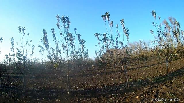 охота на зайца проект 1