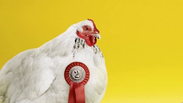 Does humour in advertising work? | Chi Hoang | BI Business Review смотреть онлайн