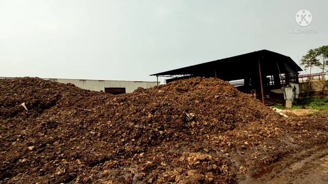 license kwrwi bo Rubber factory o mal rwoi mano смотреть онлайн