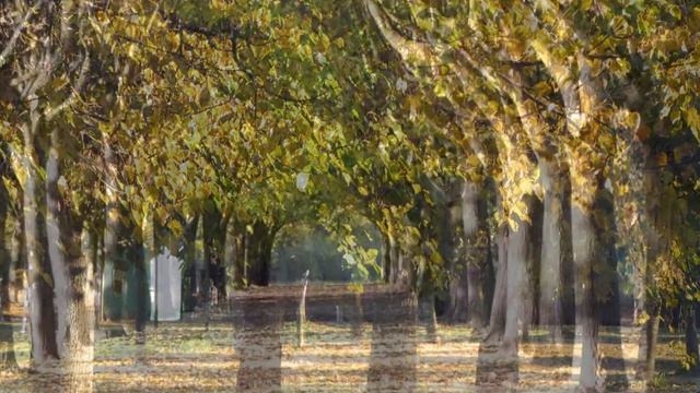 Настала осень смотреть онлайн