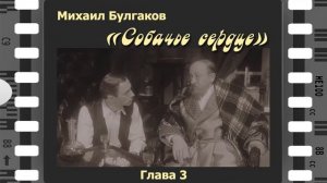 Михаил Булгаков "Собачье сердце". 3-я глава. Читает Сергей Рубашкин.