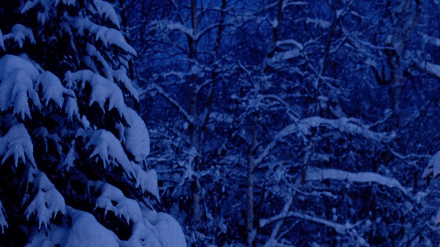 Пожелания доброй ночи. смотреть онлайн