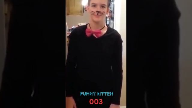 FUNNY KITTENS, CATS | HAVING FUN PLAY | HD Video | Art with Milli смотреть онлайн