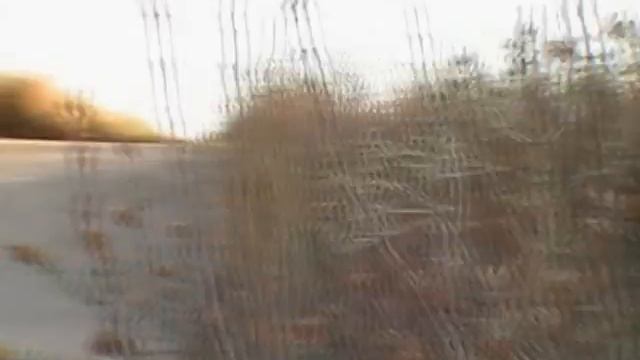 emili i deke 2010 смотреть онлайн