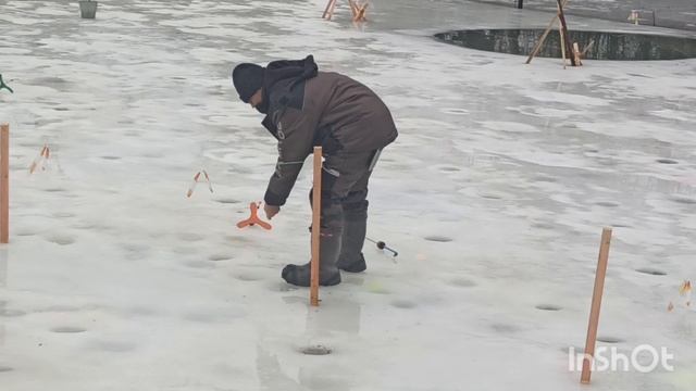 Форель ловится смотреть онлайн