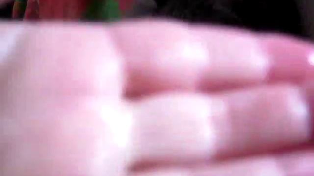 А на том на бережке продаёт мужик котов в мешке смотреть онлайн