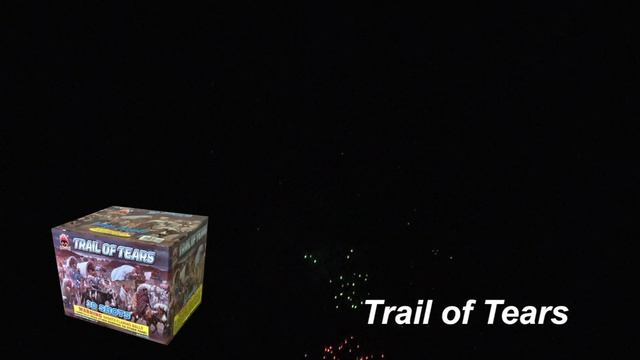 Trail of Tears Matrox MAX H 264 1920x1080p 29 97 48 kHz смотреть онлайн