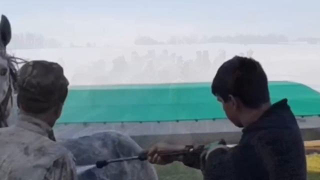 Один из крупных табунов Башкирской породы лошадей/ КФХ Идиятуллин смотреть онлайн