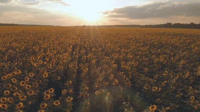 Музыка для души 🌿 Нежная лечебная музыка здоровья и для успокоения нервной системы