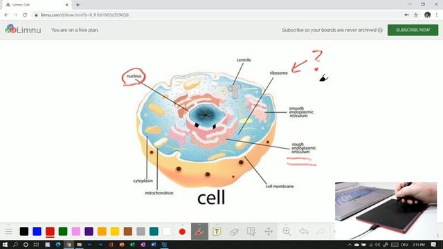 Start using Limnu with One by Wacom and Windows смотреть онлайн