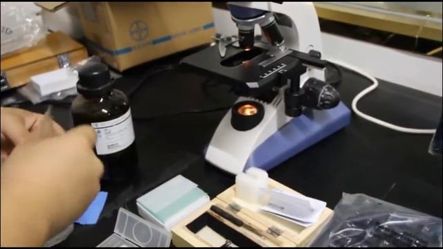 HD-W819 Digital video microscope for fiber Analysis смотреть онлайн