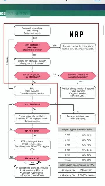 Neonatal resuscitation protocol algorithm #pediatricsbydranand смотреть онлайн