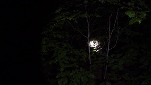 Noctigon K1 - Beamshots (LED: Osram W1, 6000K, 650´000cd) смотреть онлайн