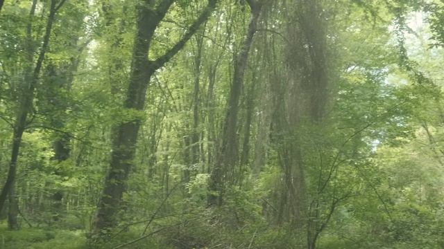 Южный Дагестан. Часть 1. смотреть онлайн