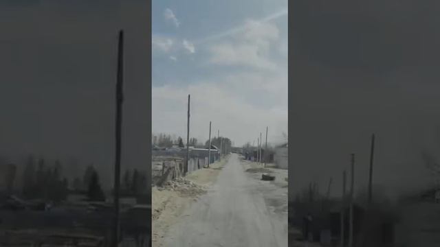 Отзыв от директора компании ИП Золотарев В.Ю. смотреть онлайн
