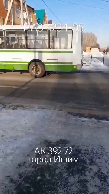 ПАЗ 4234-05 в Ишиме смотреть онлайн