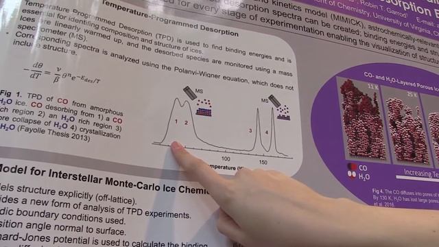 ECLA 2016 POSTERS - Aspen R. Clements, University of Virginia (USA) смотреть онлайн
