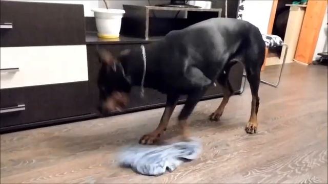 Мистер  - Добер )) или Добер - Пропер ))