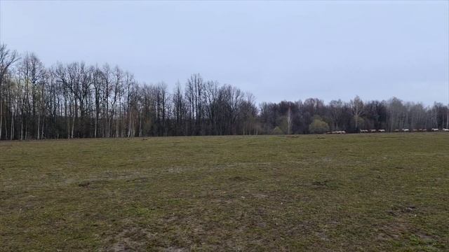 Очередное пополнение в хозяйстве/ Большой квадроцикл Атлет/ Квадроциклы РБ Моторс смотреть онлайн