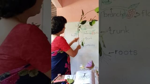 grade 3 English pupil's book page 113 смотреть онлайн