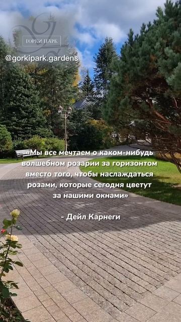 Мы все мечтаем о розарии, но … #ландшафт #ландшафтныйдизайн #сад #деревья #дом #розы #розарий смотреть онлайн