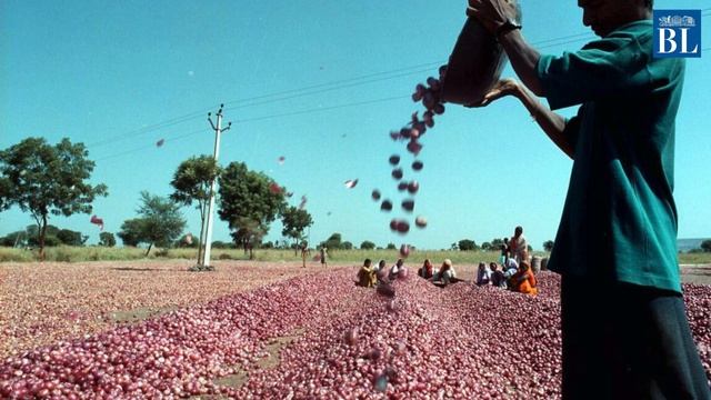 Onion prices likely to soar смотреть онлайн