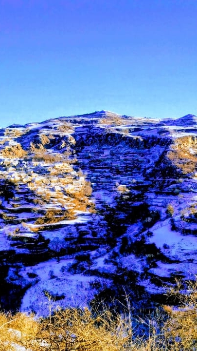 Зубанчи Вечер Сегодня 29-01-2025