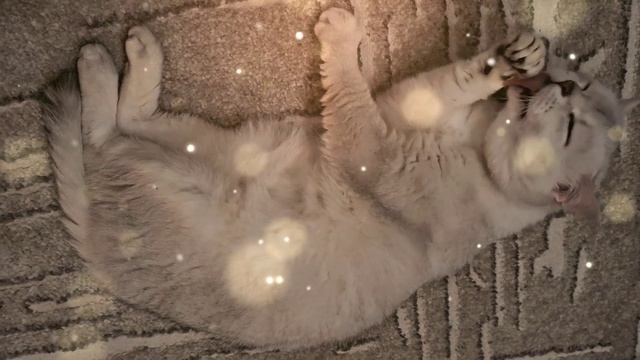 Генри Синрей 122 смотреть онлайн