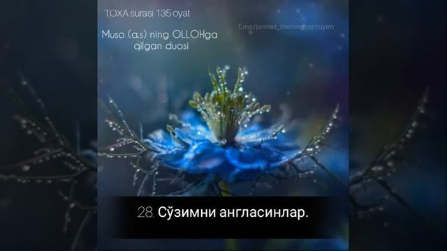 Мусо(а.с)нинг Аллохга қилган дуоси. смотреть онлайн