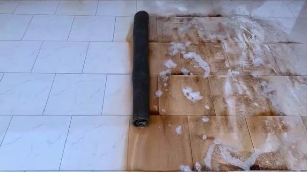 perfect carpet cleaning|| short time cleaning||#usa #singapore #norway #us #smallbusiness #russia